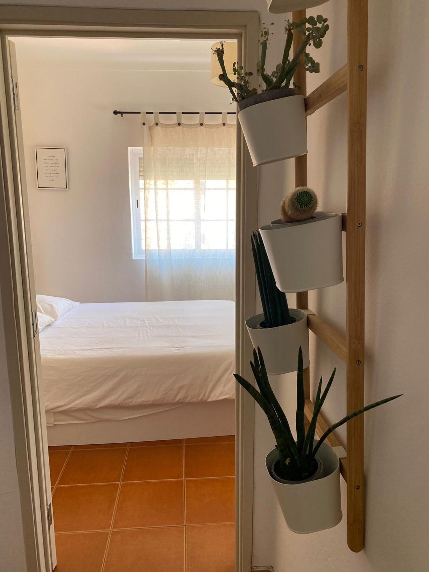 Apartamento Vicentino Vila Nova de Milfontes Eksteriør bilde