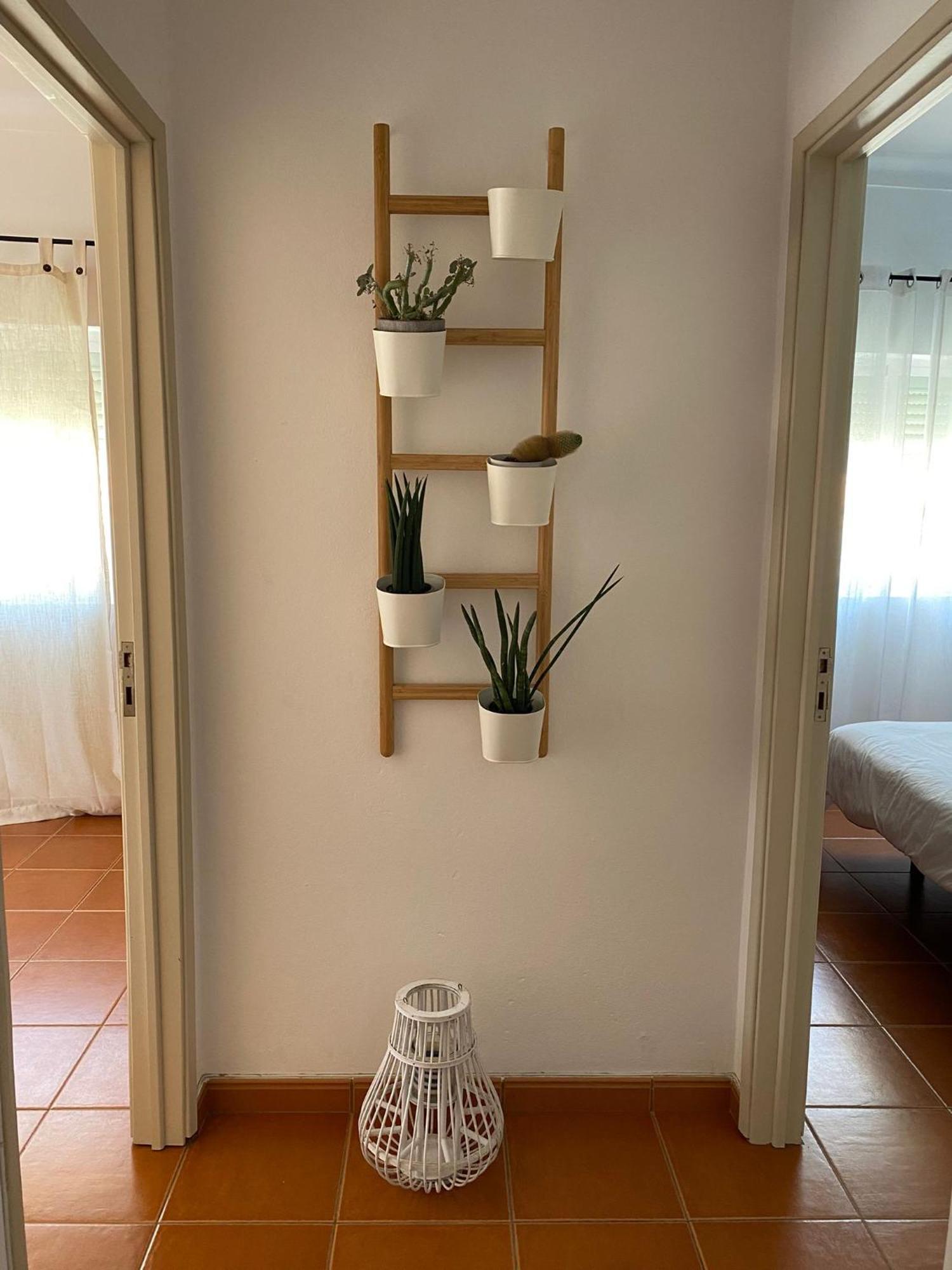 Apartamento Vicentino Vila Nova de Milfontes Eksteriør bilde